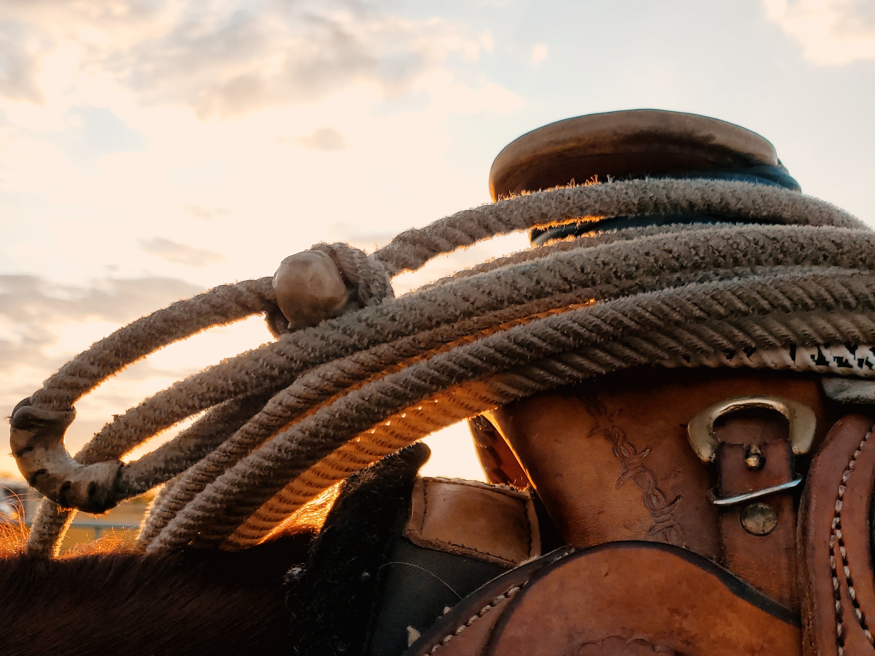 Punchy Ranch Rigs Restless Remuda Co. | Rodeo & Ranch Bags for Punchy People