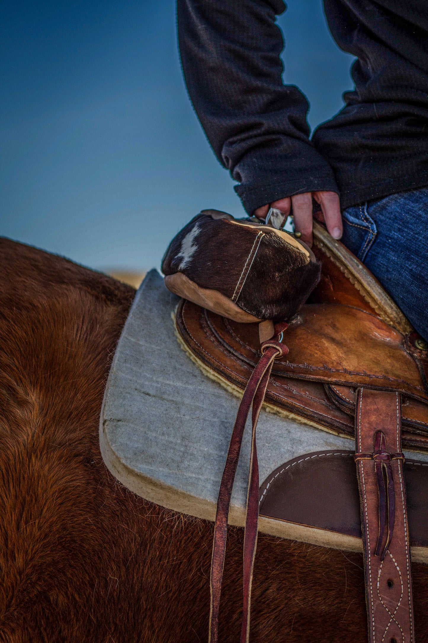 Rio Lobo Cantle Bag