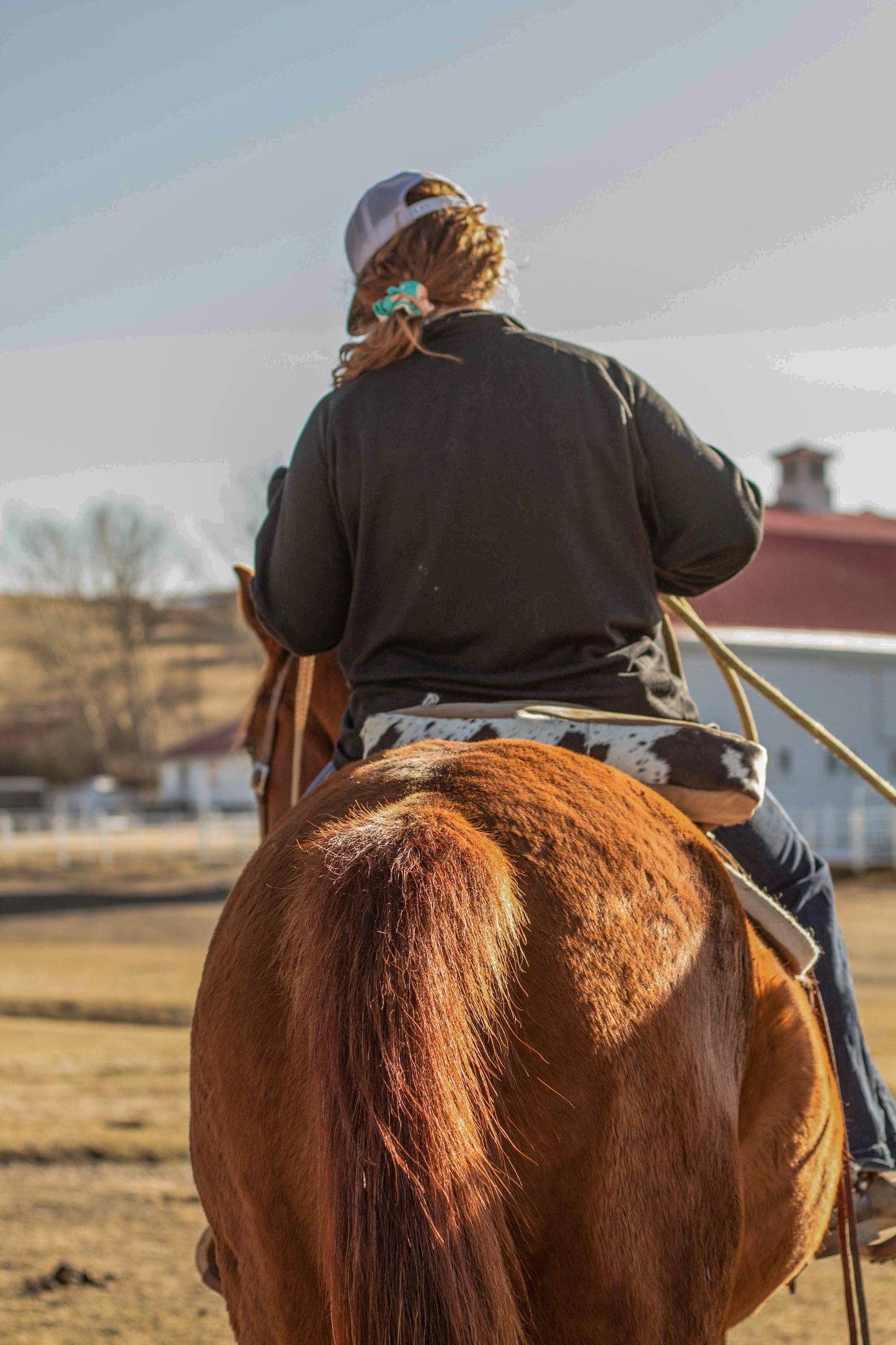 Rio Lobo Cantle Bag