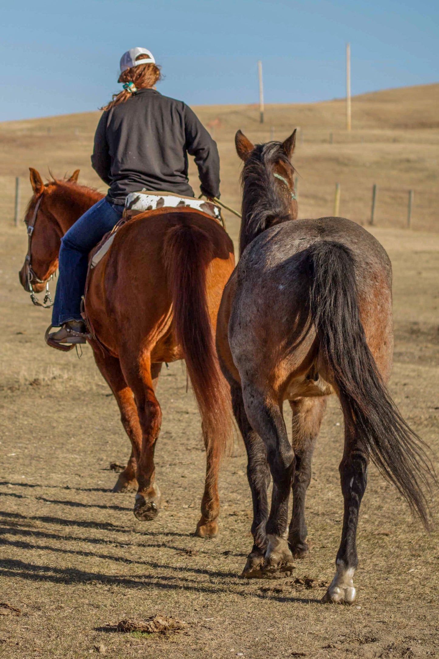 Rio Lobo Cantle Bag